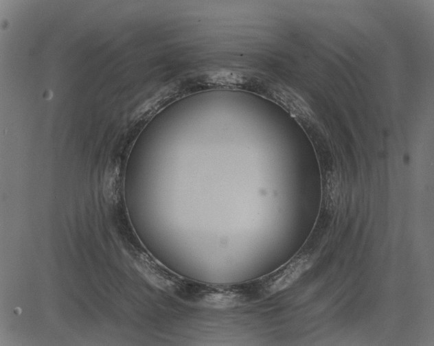 X0000082690364200702091703