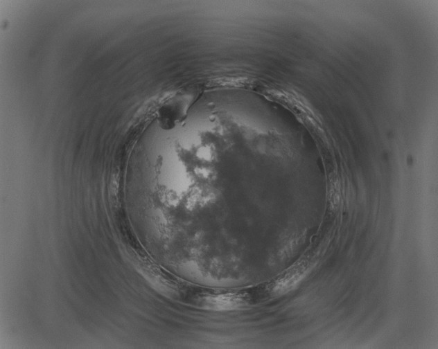 X0000082690365200702091703