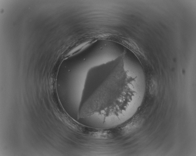 X0000082690366200702091703