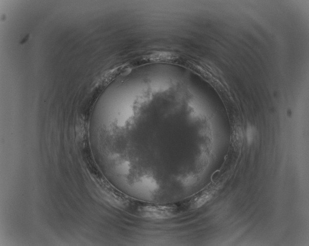 X0000082690367200702091703