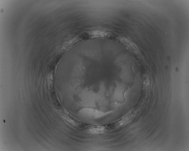 X0000082690369200702091703