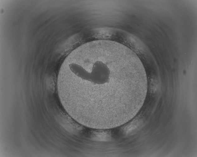 X0000082690370200702091703