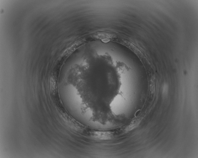 X0000082690371200702091703