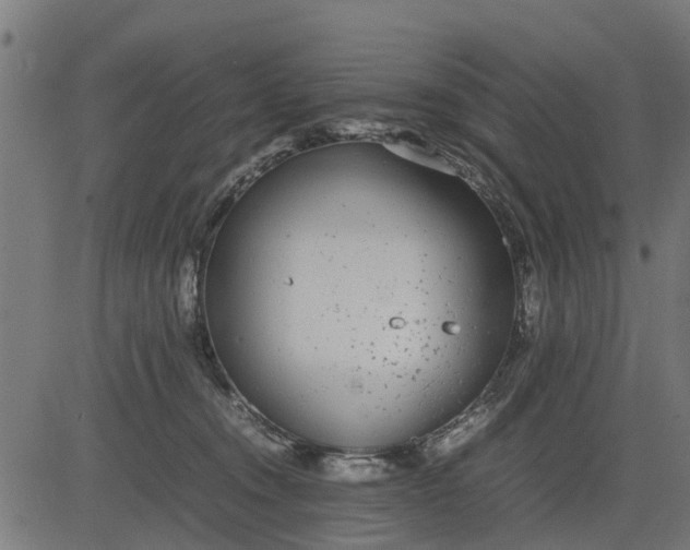 X0000082690372200702091703