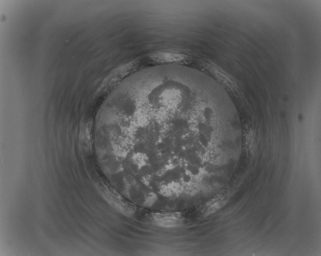 X0000082690373200702091703