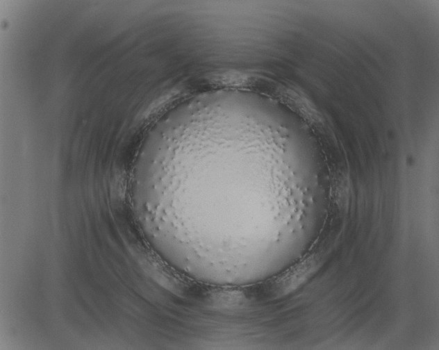 X0000082690374200702091703