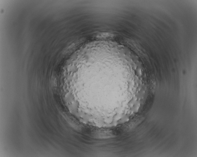 X0000082690375200702091703