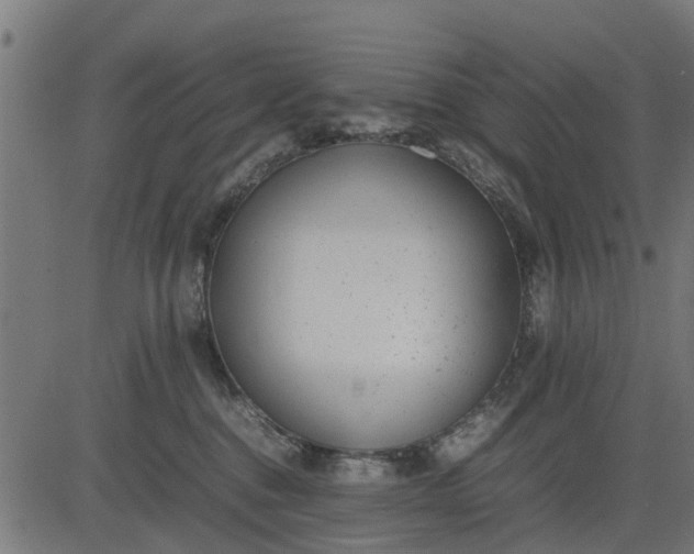 X0000082690376200702091703