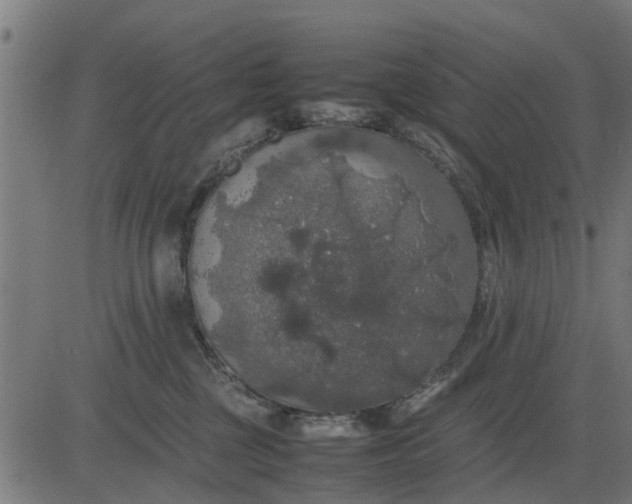 X0000082690377200702091703