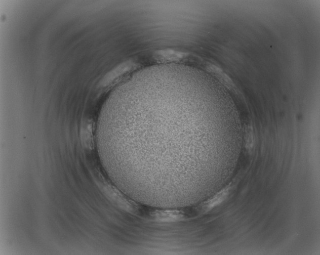 X0000082690378200702091703