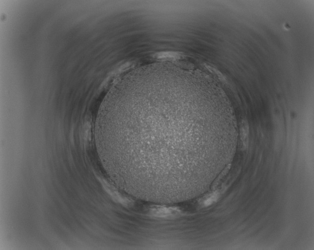 X0000082690379200702091703