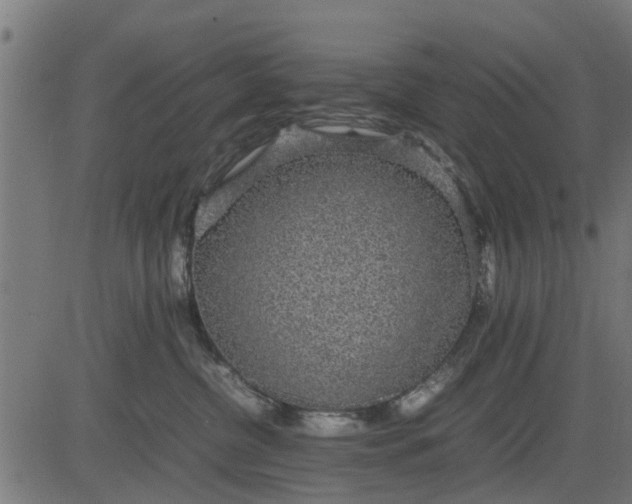 X0000082690380200702091703