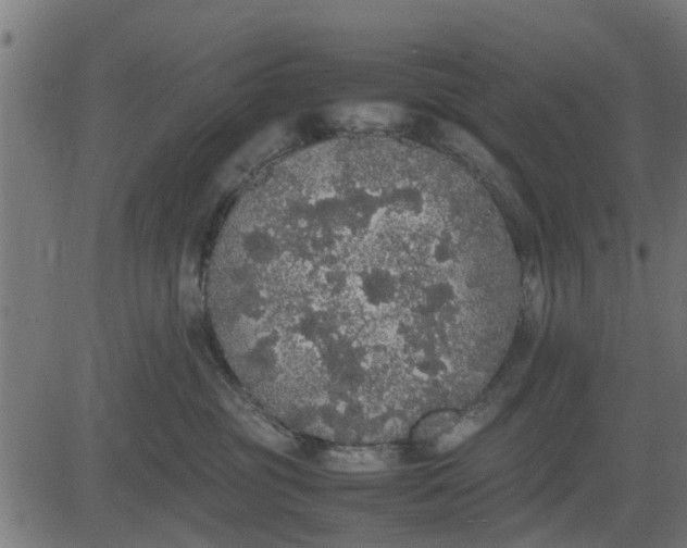 X0000082690381200702091703