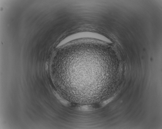 X0000082690382200702091703