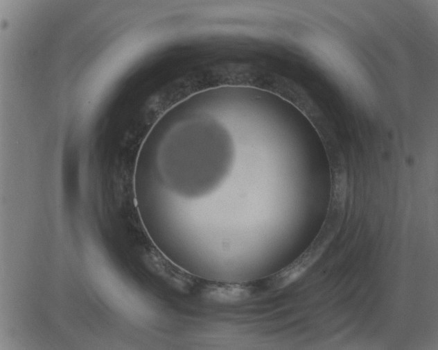 X0000082690383200702091703