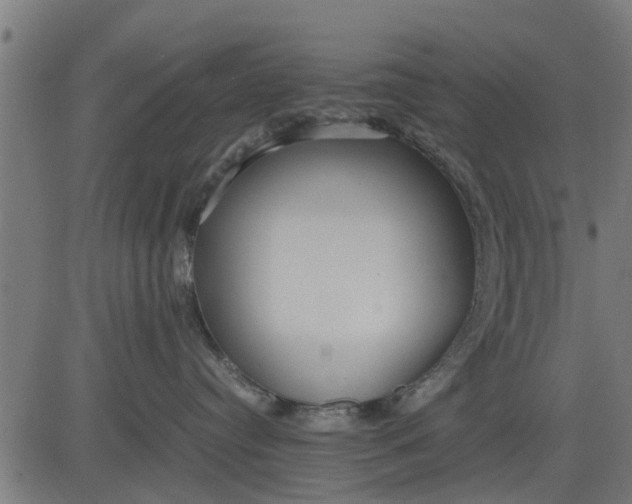 X0000082690384200702091704