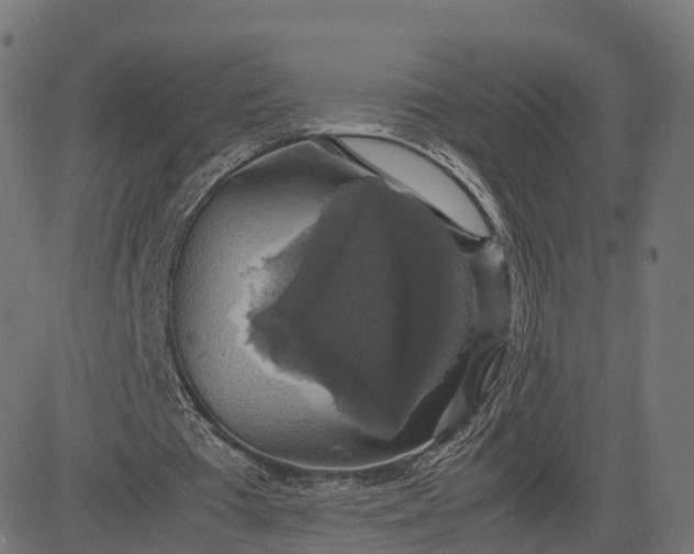 X0000082690385200702091703