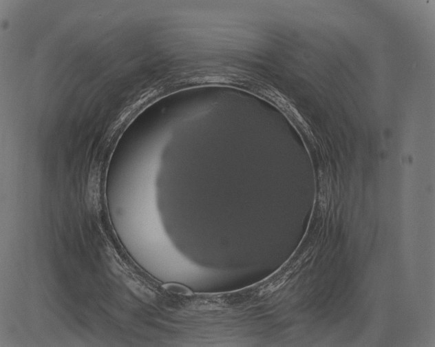 X0000082690386200702091703