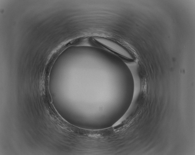 X0000082690388200702091703