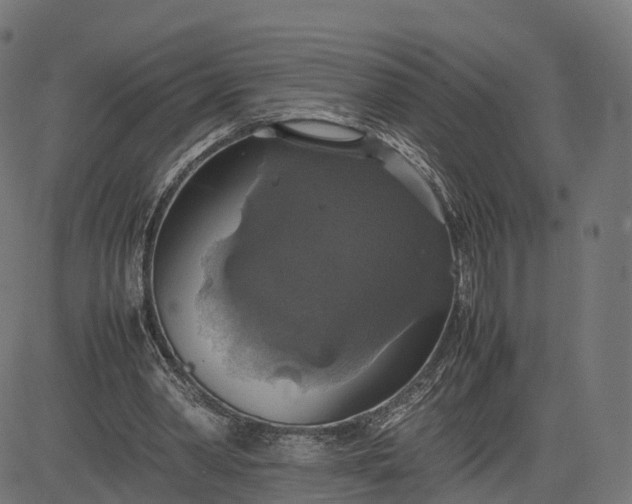 X0000082690390200702091703