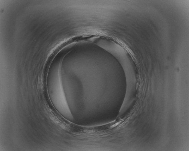 X0000082690391200702091703