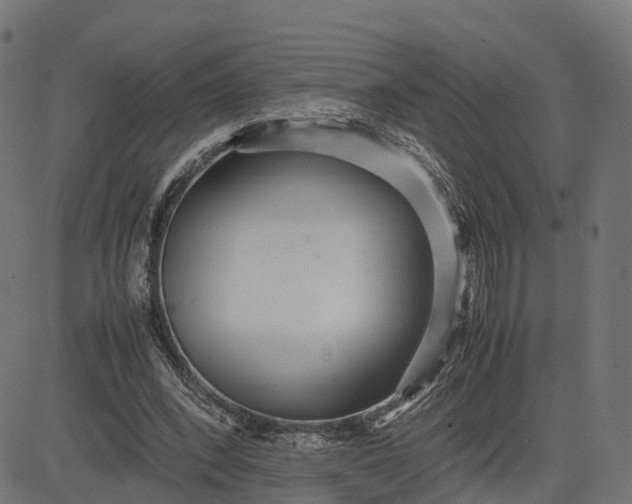 X0000082690392200702091703