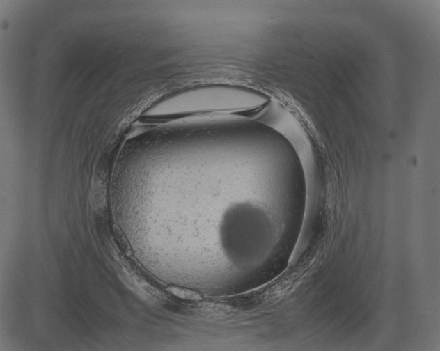 X0000082690393200702091703