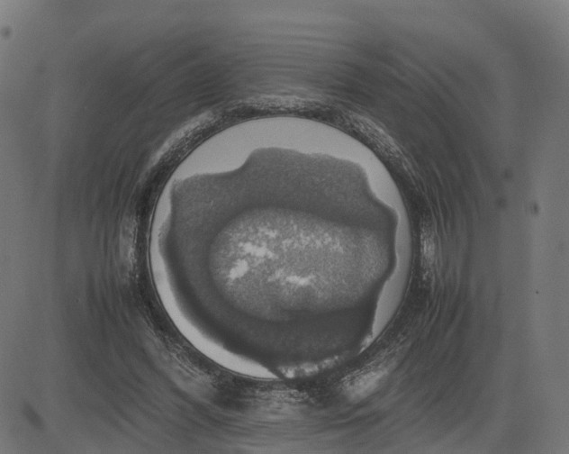 X0000082690396200702091703