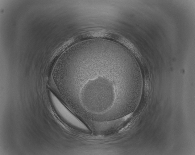 X0000082690397200702091703