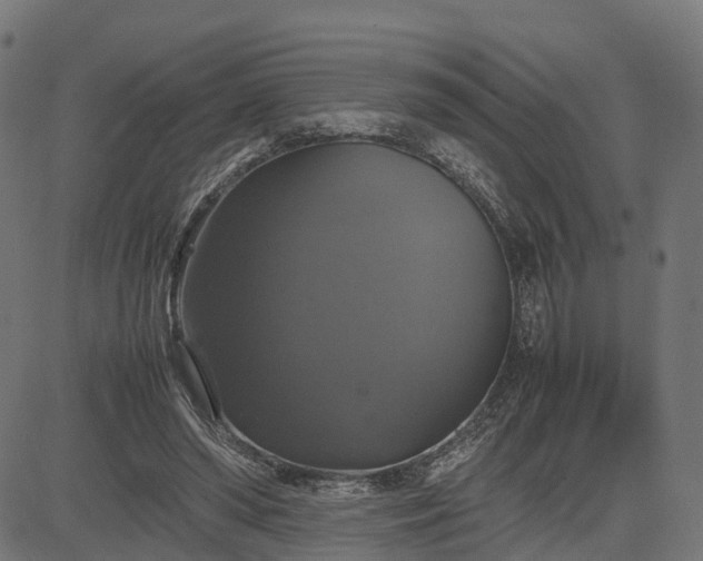 X0000082690398200702091703