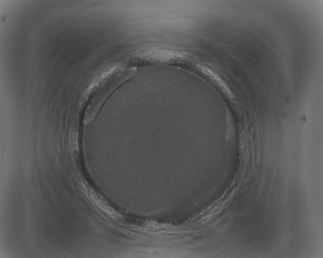 X0000082690399200702091702