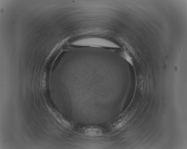 X0000082690400200702091702