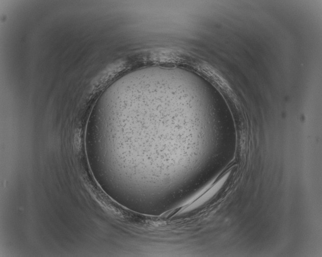 X0000082690401200702091702