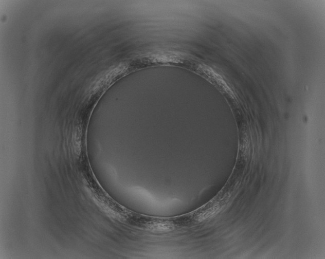 X0000082690402200702091702