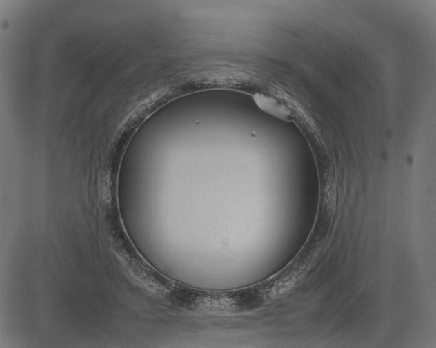 X0000082690403200702091702