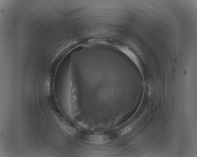 X0000082690404200702091702