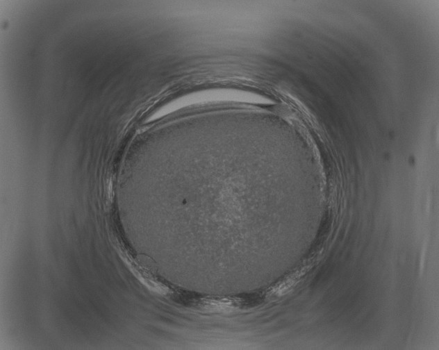 X0000082690405200702091702