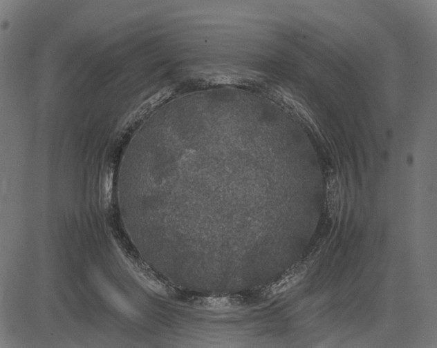 X0000082690406200702091702