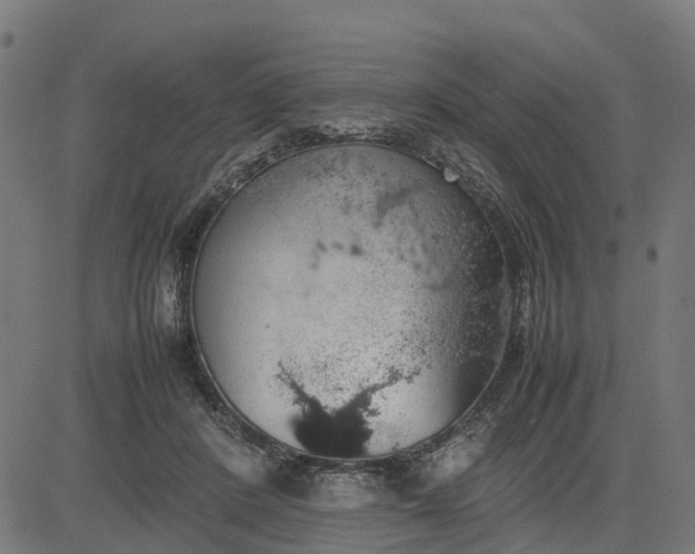 X0000082690408200702091702