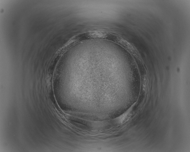 X0000082690409200702091702