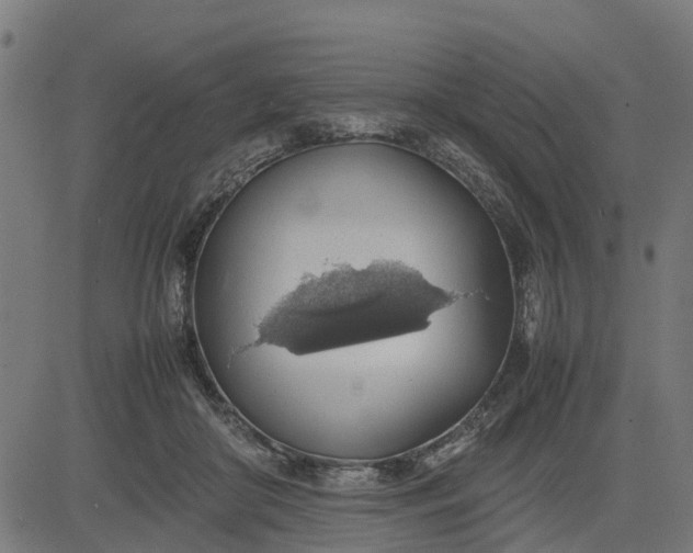 X0000082690410200702091702