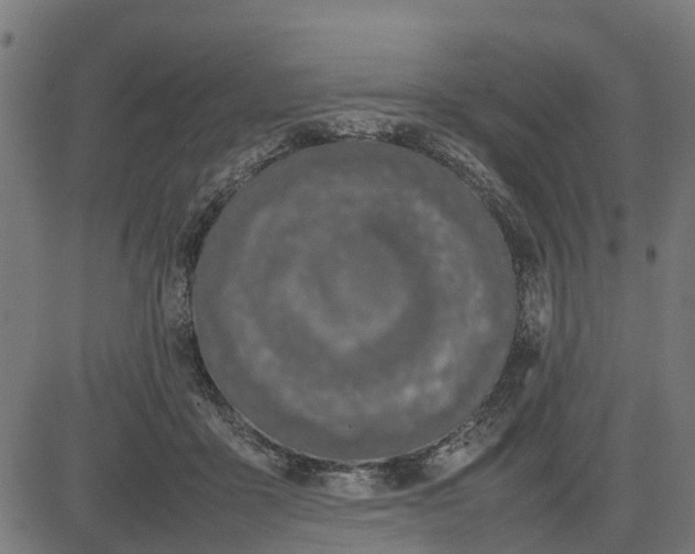 X0000082690411200702091702