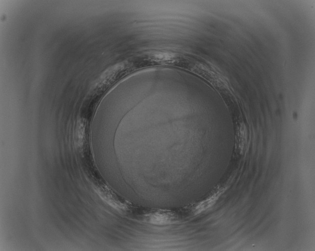 X0000082690412200702091702