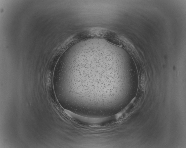 X0000082690413200702091702