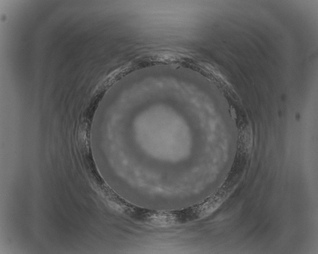 X0000082690415200702091702