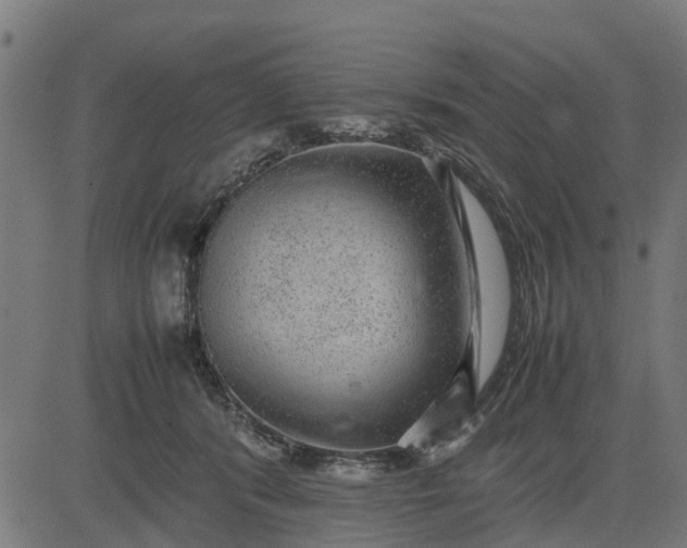 X0000082690416200702091702