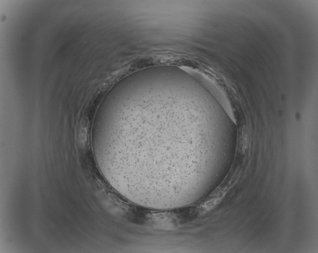 X0000082690417200702091702