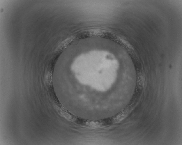 X0000082690419200702091702