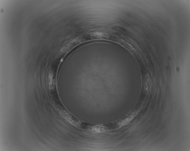 X0000082690420200702091702