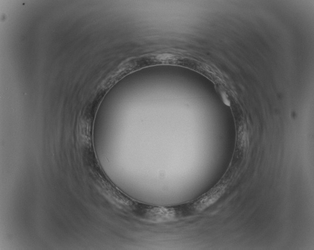 X0000082690421200702091702